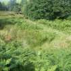 Archaeological evaluation, Structure 2- Pre excavation- Following bracken removal, Aberchalder Burn and Allt A'Choire