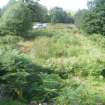 Archaeological evaluation, Structure 2- Pre excavation- Following bracken removal, Aberchalder Burn and Allt A'Choire