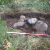 Archaeological evaluation, Structure 2- Slot through W wall, Aberchalder Burn and Allt A'Choire