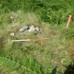 Archaeological evaluation, Structure 2- Slot through E wall, Aberchalder Burn and Allt A'Choire