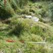 Archaeological evaluation, Location of slot in N wall- Structure 2, Aberchalder Burn and Allt A'Choire