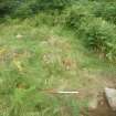 Archaeological evaluation, Structure 3- General shot following bracken removal, Aberchalder Burn and Allt A'Choire