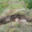 Archaeological evaluation, S facing section through eastern wall, Structure 2, Aberchalder Burn and Allt A'Choire