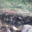 Archaeological evaluation, N facing section through W wall- Structure 2, Aberchalder Burn and Allt A'Choire