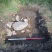 Archaeological evaluation, Structure 2- slot through W wall- showing wall cut, Aberchalder Burn and Allt A'Choire