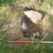 Archaeological evaluation, Structure 3- S end, Aberchalder Burn and Allt A'Choire