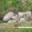 Archaeological evaluation, Slot through structure 4- detail, Aberchalder Burn and Allt A'Choire