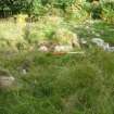 Archaeological evaluation, Structure 4- General shot, Aberchalder Burn and Allt A'Choire