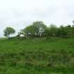 Site visit, Castle mound, view from track looking S, Auchencloigh castle, South West Scotland Renewables Project