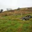 Field survey, Site 91, Sheep pen, South West Scotland Renewables Project