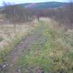 Field survey, Access track Site 302, South West Scotland Renewables Project