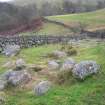 Field survey, Clearance cairn/Ruin, Grimmet farm access track, South West Scotland Renewables Project
