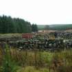 Field survey, Site 106, Sheep ree, South West Scotland Renewables Project