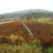 Field survey, Site 106, Sheep ree, South West Scotland Renewables Project