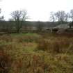 Field survey, Site 113, Moor farmstead, House, South West Scotland Renewables Project