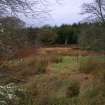 Field survey, Site 113, Moor farmstead, general view, South West Scotland Renewables Project