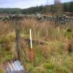 Field survey, Site 114, Sheep ree, South West Scotland Renewables Project