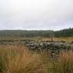 Field survey, Site 114, Sheep ree, South West Scotland Renewables Project