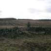 Field survey, Site 54, Auchlin Rig, structure and enclosure, South West Scotland Renewables Project