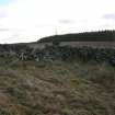 Field survey, Site 54, Auchlin Rig, structure and enclosure, South West Scotland Renewables Project
