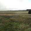 Field survey, Area of Sites 44, Trackway, and 55, Closs Burn enclosures, South West Scotland Renewables Project