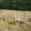 Field survey, Site 61, Sheep Ree, South West Scotland Renewables Project