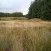 Field survey, Site 62, Sheep Ree, South West Scotland Renewables Project