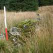 Field survey, Site 62, Sheep Ree, South West Scotland Renewables Project