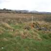Field survey of modified route D2, Site 219, River Doon buildings (Building B), South West Scotland Renewables Project
