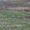 Field survey of modified route D2, Site 219, River Doon (Possible enclosure), South West Scotland Renewables Project