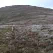 Field survey of route C, Track 153, Meikledodd Hill, South West Scotland Renewables Project