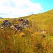 Cultural heritage assessment, Shieling 1.3, Balliemeanoch Wind Farm, Argyll and Bute