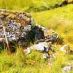 Cultural heritage assessment, Site 1 general shot of shielings, Balliemeanoch Wind Farm, Argyll and Bute