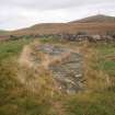 Cultural heritage assessment, Site 1, Scheduled cup and ring marked rock, Blackshaw Community Windfarm