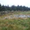 Cultural heritage assessment, Site 1, General view showing wall overlying scheduled site and closeness of commercial forestry, Blackshaw Community Windfarm