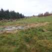 Cultural heritage assessment, Site 1, General view showing wall overlying scheduled site and closeness of commercial forestry, Blackshaw Community Windfarm