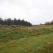 Cultural heritage assessment, Site 1, General view showing overall location of cup and ring marked rock, Blackshaw Community Windfarm