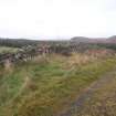 Cultural heritage assessment, Site 1, General view showing location of outcrop (now covered in turf) to S of wall, recorded previously as having cup marks cut into it, Blackshaw Community Windfarm