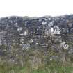 Cultural heritage assessment, Site 6a, Main farmhouse, Architectural features on S elevation, Blackshaw Community Windfarm