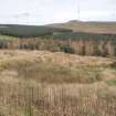 Cultural heritage assessment, Site 6c, Turf covered enclosure remains surrounding farmstead, Blackshaw Community Windfarm