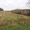 Cultural heritage assessment, Site 6c, Turf covered enclosure remains surrounding farmstead, Blackshaw Community Windfarm