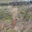 Cultural heritage assessment, Site 16, Clearance spread/quarry, Blackshaw Community Windfarm