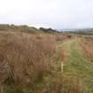 Cultural heritage assessment, Site 8, Trackway running along NE side of quarry, Blackshaw Community Windfarm