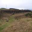 Cultural heritage assessment, Site 8, General view of quarry extraction area, Blackshaw Community Windfarm