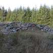 Field survey, Site 31 enclosure, Glen App Wind Farm, South of Ballantrae, South Ayrshire