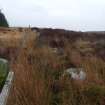 Field survey, Site 52 field boundary, Glen App Wind Farm, South of Ballantrae, South Ayrshire