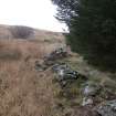 Field survey, Site 33 F1 field boundary, Glen App Wind Farm, South of Ballantrae, South Ayrshire