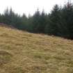 Field survey, Site 53 rig and furrow, Glen App Wind Farm, South of Ballantrae, South Ayrshire