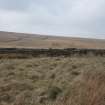 Field survey, Site 54 sheepfold, Glen App Wind Farm, South of Ballantrae, South Ayrshire