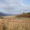 Field survey, Site 46 sheepfold, Glen App Wind Farm, South of Ballantrae, South Ayrshire